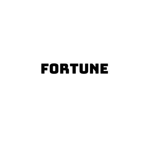 Fortune təkəri